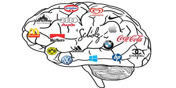 上海品牌策劃公司 從“你是誰”到“你想處于什么位置”——品牌戰(zhàn)略與市場(chǎng)營銷策劃的核心路徑