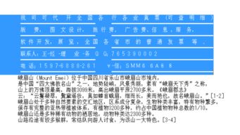 濟(jì)南市場(chǎng)營銷策劃費(fèi)專用增值稅進(jìn)項(xiàng)發(fā)票抬頭詳解